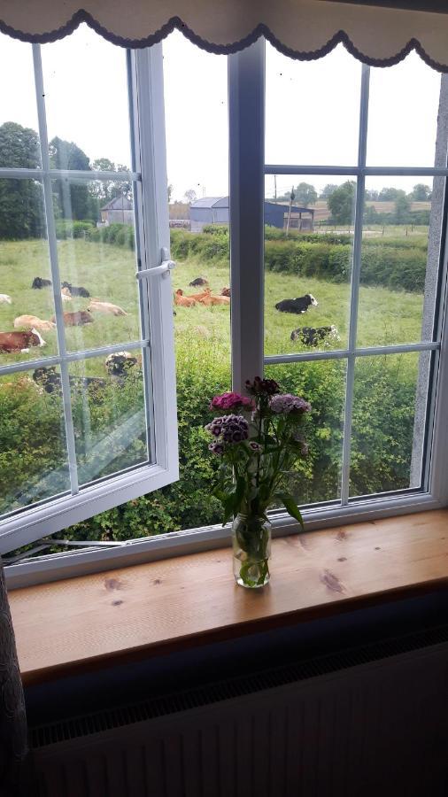 Nellies Cottage B&B Kilcogy Extérieur photo