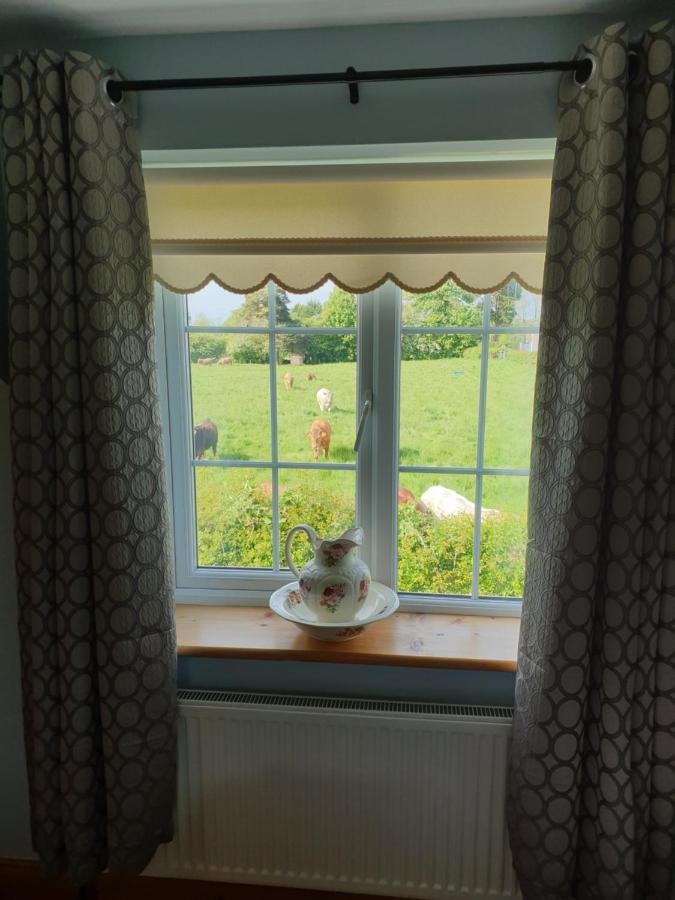 Nellies Cottage B&B Kilcogy Extérieur photo