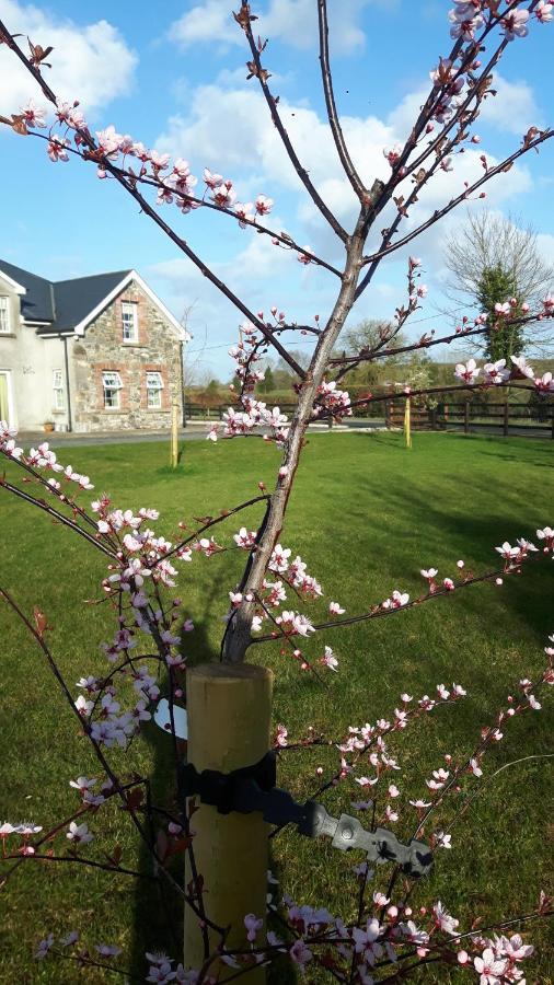 Nellies Cottage B&B Kilcogy Extérieur photo